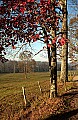 DSC_3787 CADES COVE.jpg