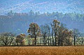DSC_5651 cades coves.jpg