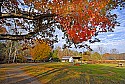 _DSC2956  cades cove-rustic cabin.jpg