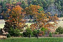 _MG_4597 cades cove.jpg