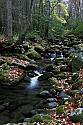 _MG_5055 creek.jpg