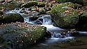 _MG_5073 creek.jpg