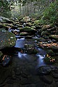 _MG_5082 creek.jpg