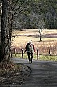 _MG_6648 steven j shaluta jr in cades cove.jpg