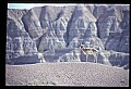 10002-00011-Antelope-Pronghorn, Badlands, National Park.jpg