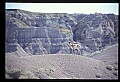 10002-00012-Antelope-Pronghorn, Badlands, National Park.jpg