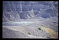 10002-00014-Antelope-Pronghorn, Badlands, National Park.jpg