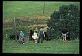 10010-00357-Black Bear.jpg