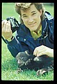 10011-00146-Black Bear Cubs-Ursus americanus.jpg