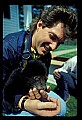 10011-00147-Black Bear Cubs-Ursus americanus.jpg