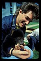 10011-00148-Black Bear Cubs-Ursus americanus.jpg