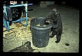 10011-00237-Black Bear Cubs-Ursus americanus.jpg