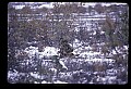 10012-00003-Brown, Kodiak or Grizzly Bear.jpg