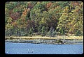 10035-00008-Beaver, Caster canadensis.jpg