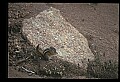 10058-00001-Chipmunks.jpg