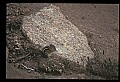 10058-00002-Chipmunks.jpg
