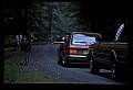 10065-00197-Whitetail Deer.jpg