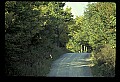 10065-00363-Whitetail Deer.jpg