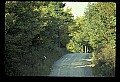 10065-00364-Whitetail Deer.jpg