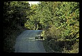 10065-00367-Whitetail Deer.jpg