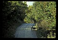 10065-00368-Whitetail Deer.jpg