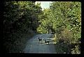 10065-00369-Whitetail Deer.jpg