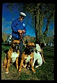 10071-00003-Domestic Pets.jpg
