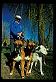 10071-00004-Domestic Pets.jpg
