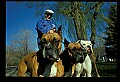 10071-00005-Domestic Pets.jpg