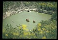 10075-00104-Elk, Wapiti, Cervus elaphus.jpg