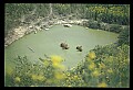 10075-00105-Elk, Wapiti, Cervus elaphus.jpg