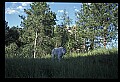 10076-00105-Mountain Goat, Oreamnos americanus.jpg
