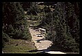 10076-00142-Mountain Goat, Oreamnos americanus.jpg