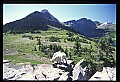 10076-00219-Mountain Goat, Oreamnos americanus.jpg