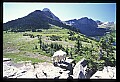 10076-00220-Mountain Goat, Oreamnos americanus.jpg