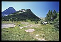 10076-00223-Mountain Goat, Oreamnos americanus.jpg