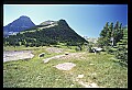 10076-00224-Mountain Goat, Oreamnos americanus.jpg