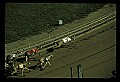 10089-00008-Grayhound Racing.jpg