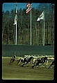 10089-00012-Grayhound Racing.jpg