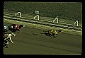 10089-00019-Grayhound Racing.jpg