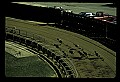 10089-00023-Grayhound Racing.jpg