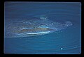 10098-00010-West Indian Manatees, Trichechos manatus latirostrus.jpg