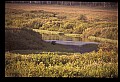10099-00028-Moose, Alces alces.jpg