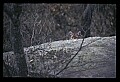 030607-00047-various.jpg