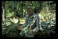 10180-00013-Wolves, General.jpg