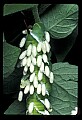10200-00021-Caterpillars, Worms.jpg