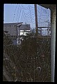 10350-00035-Spiders and Spider Webs.jpg
