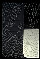 10350-00037-Spiders and Spider Webs.jpg