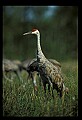 021907-00088-Various.jpg