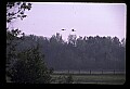 10501-00026-Sandhill Cranes, Grus canadensis.jpg